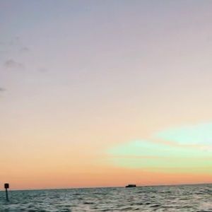 hi! im here to say I’m up for trades